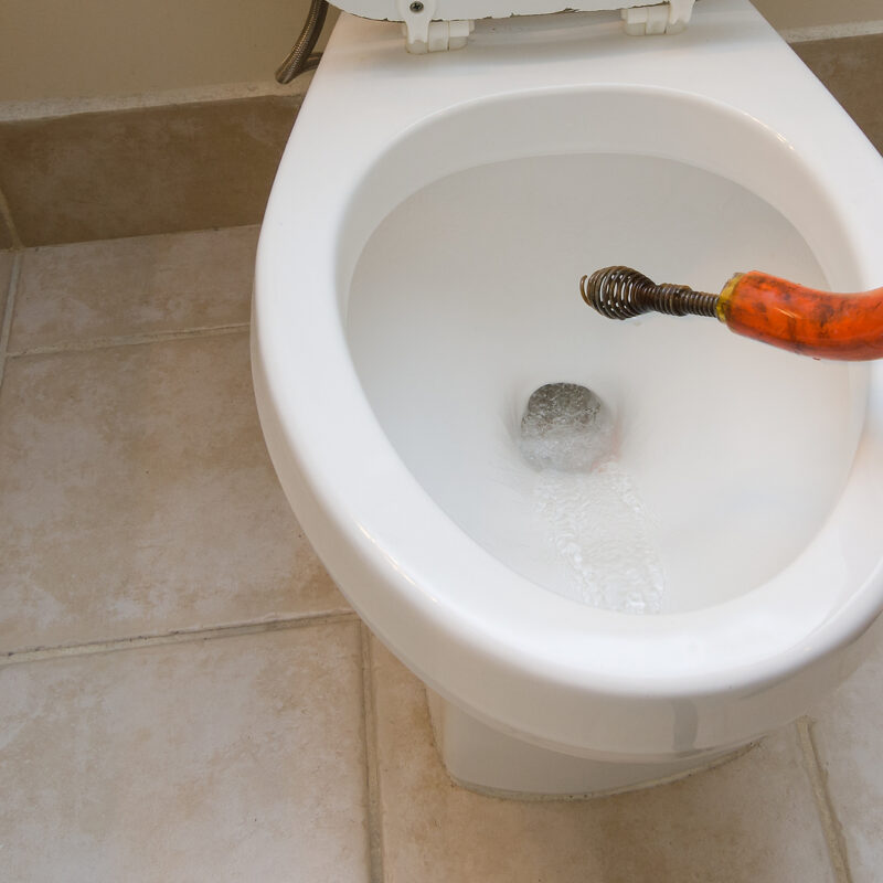Understanding Toilet Clogs and Solutions in melbourne